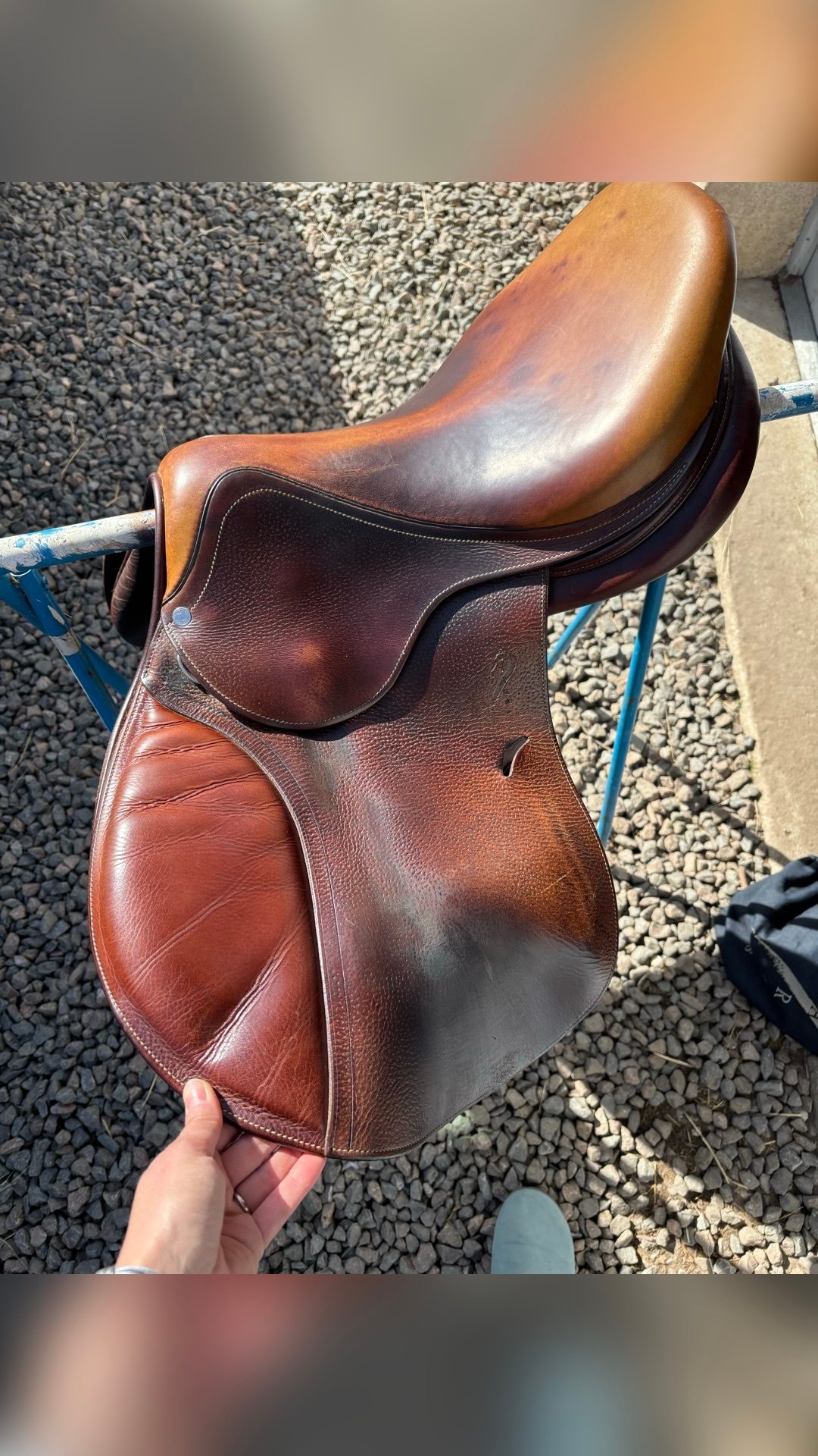 Selle Antarès, média 4