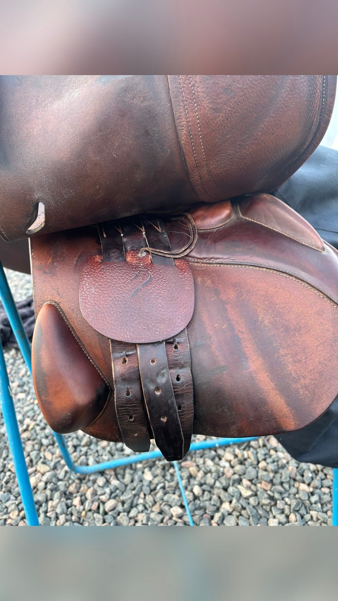 Selle Antarès, média 5