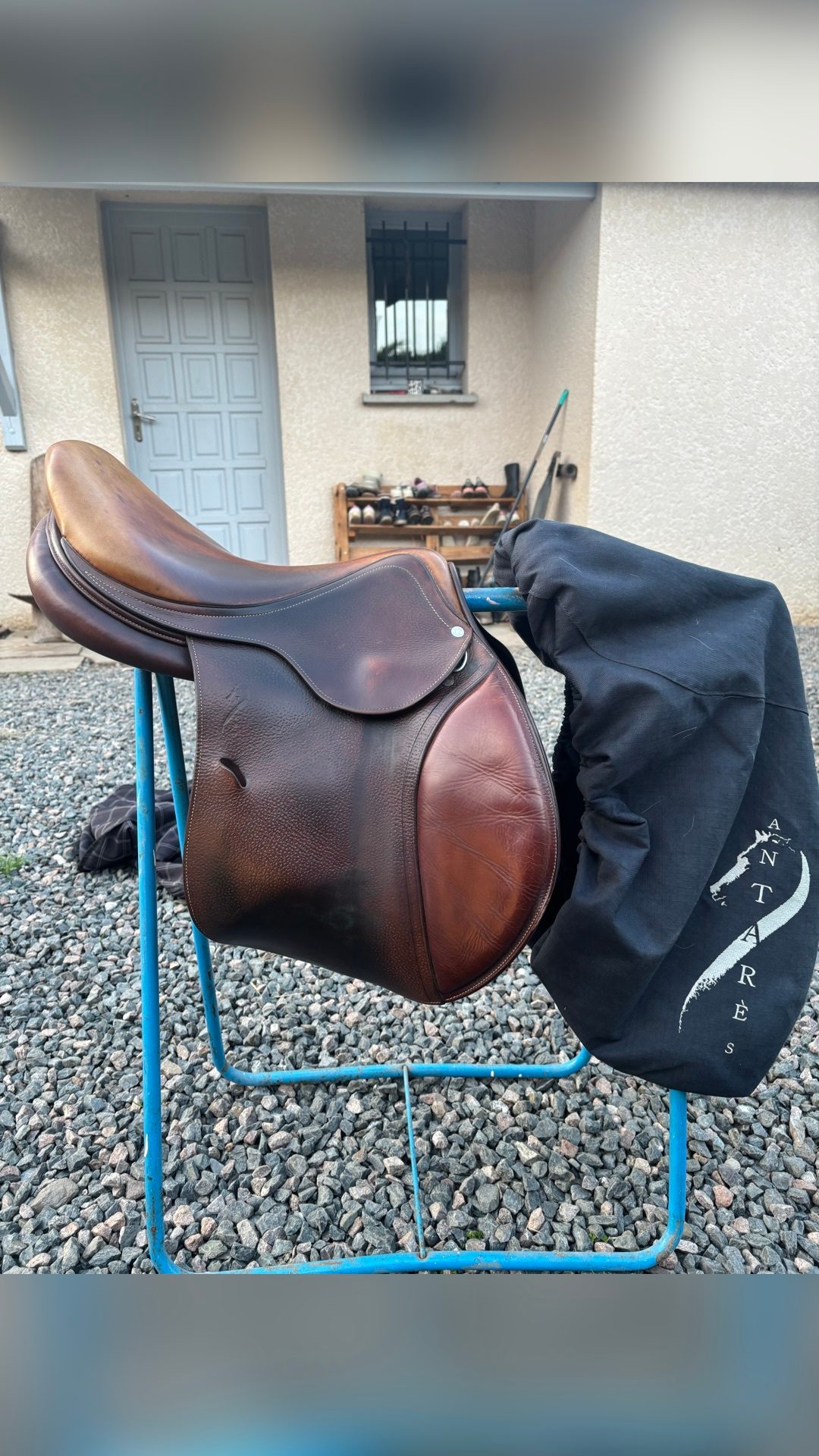 Selle Antarès, média 6