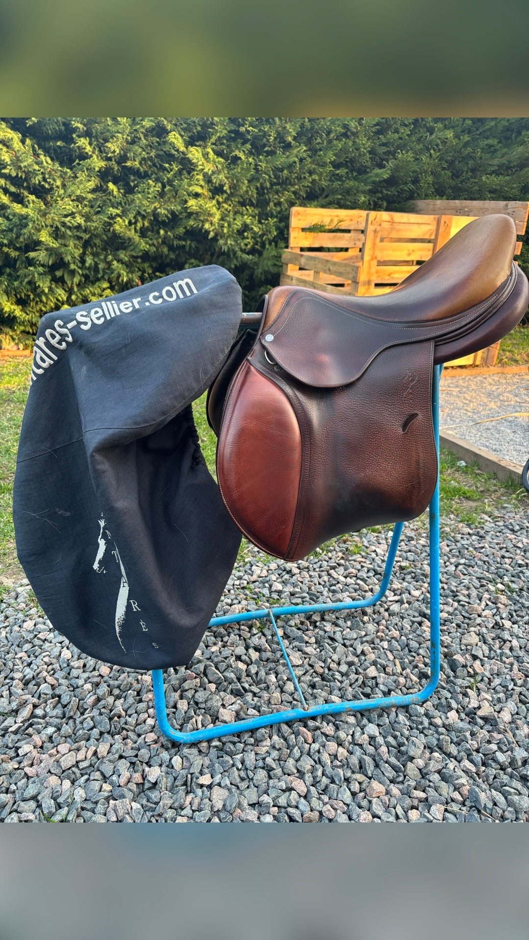 Selle Antarès, média 8