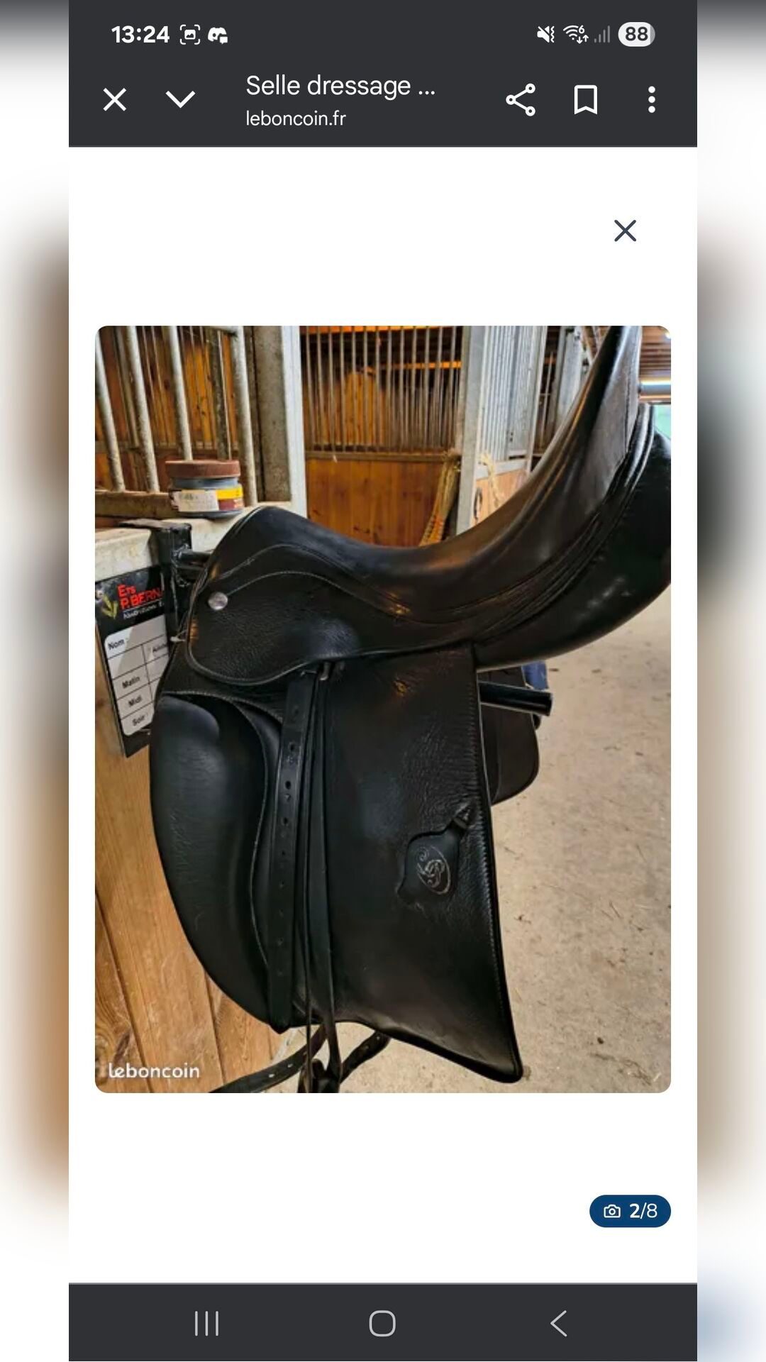 Selle dressage Zaldi, média 2