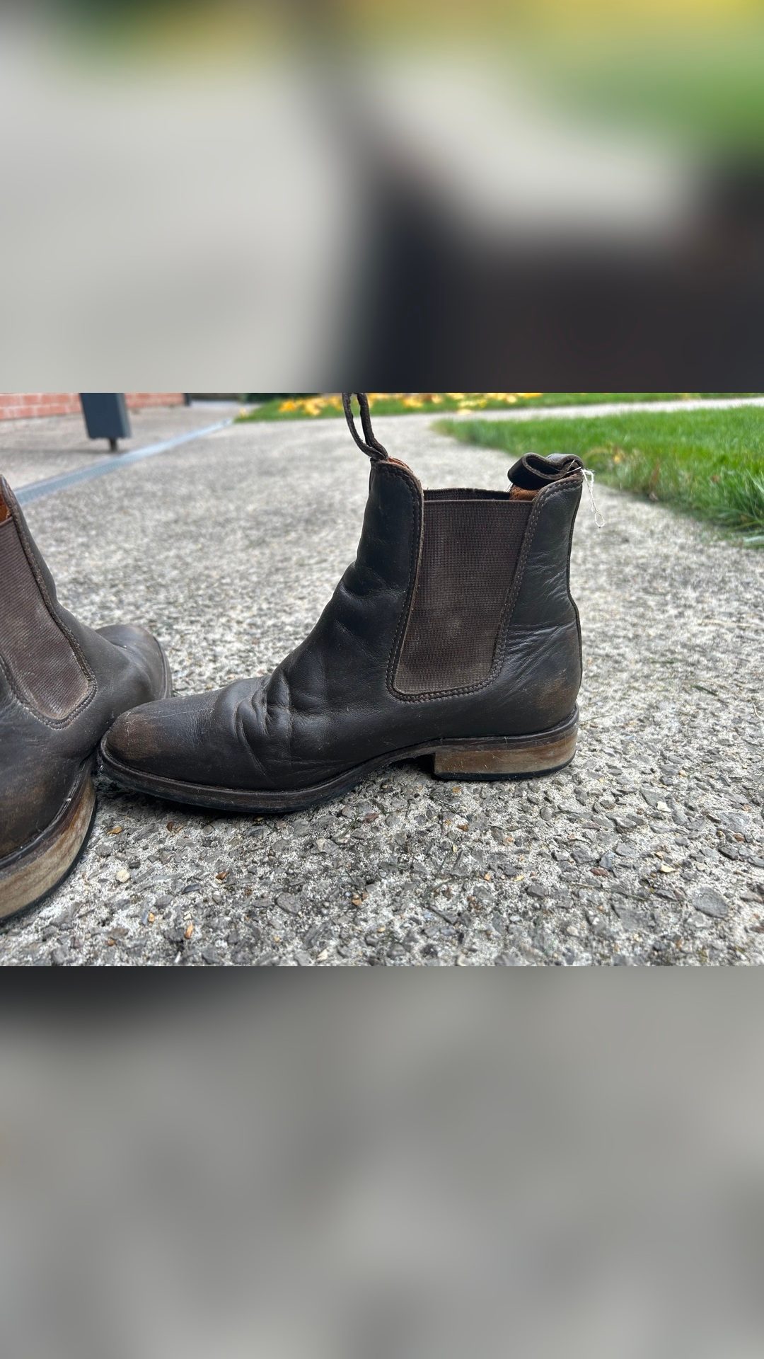 Boots Vero cuoio, média 6