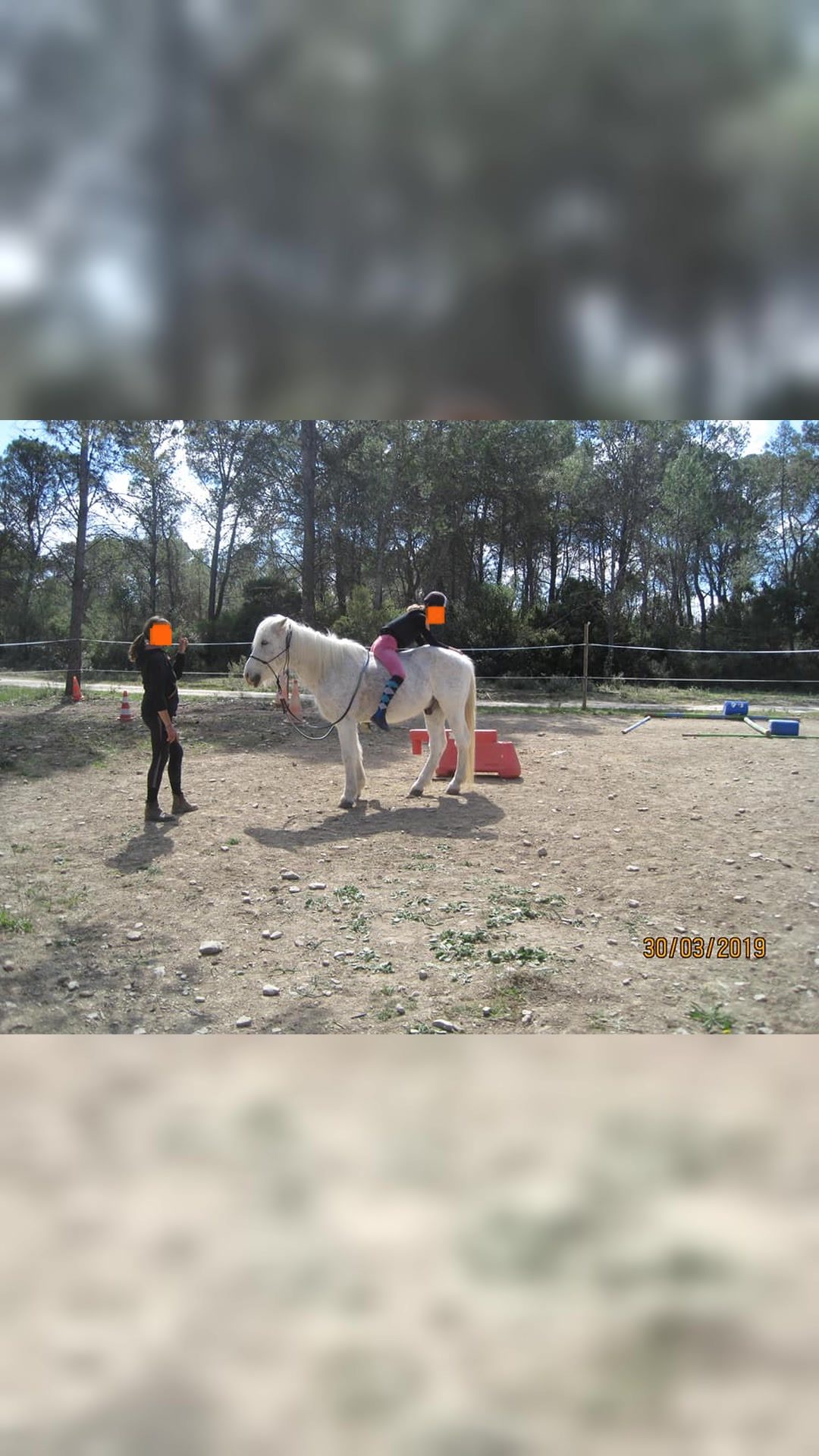 Coach et comportementaliste equin renforcement positif, média 7