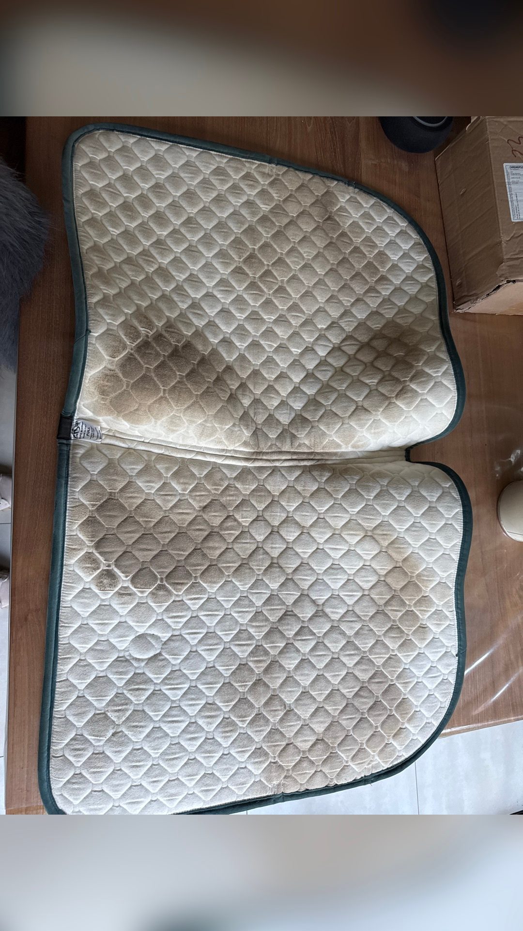Tapis dressage Anna Scarpati, média 4
