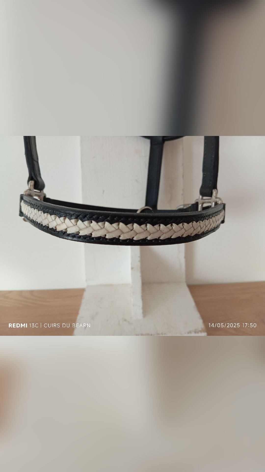 Licol cuir taille Cob, média 2