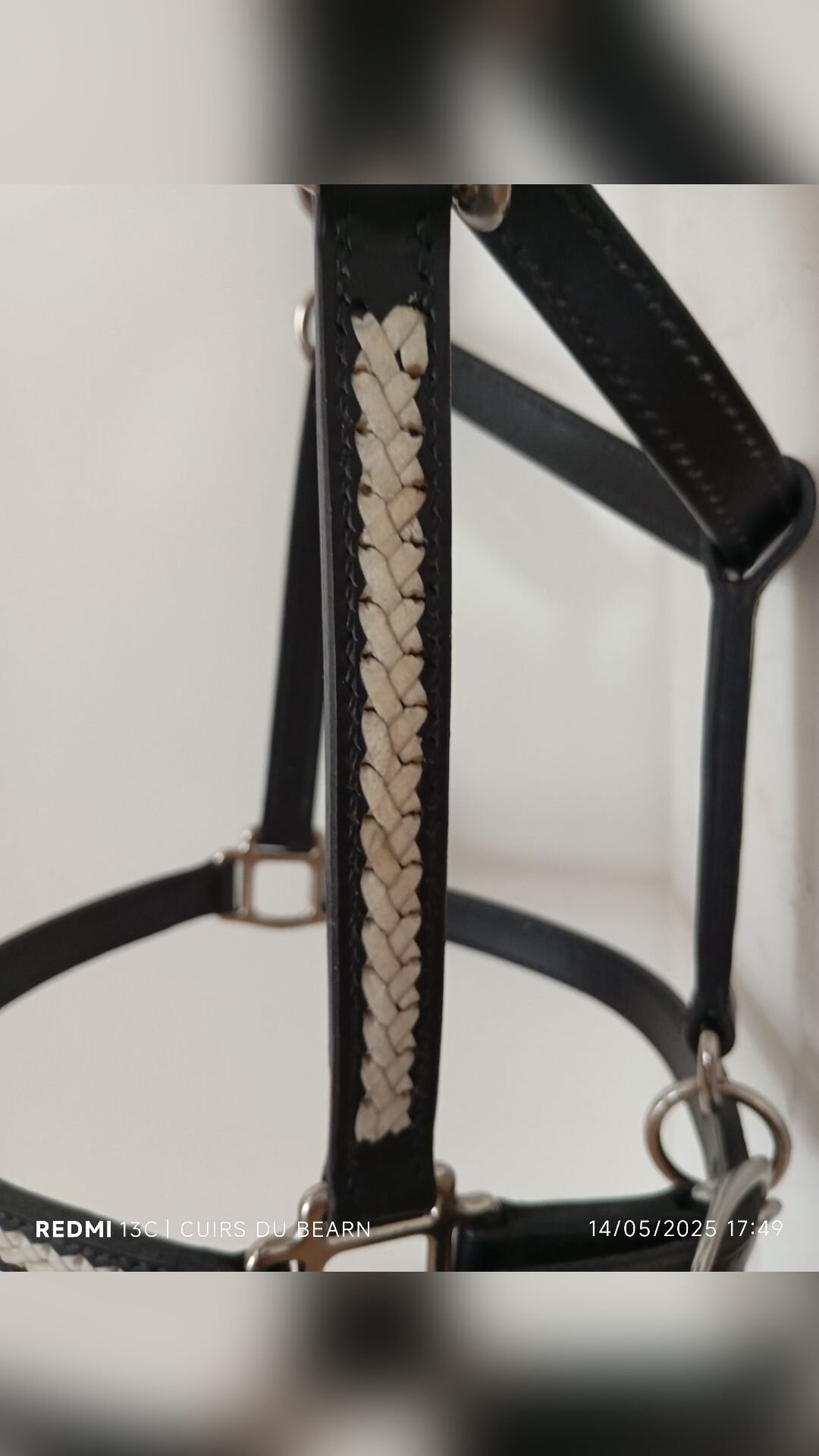 Licol cuir taille Cob, média 3