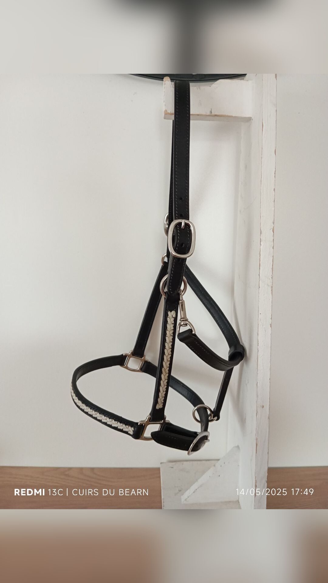 Licol cuir taille Cob, média 4