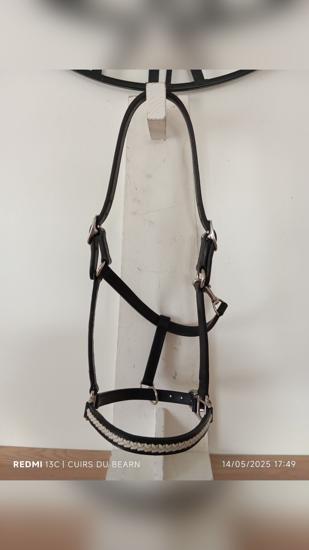 Licol cuir taille Cob, média 5
