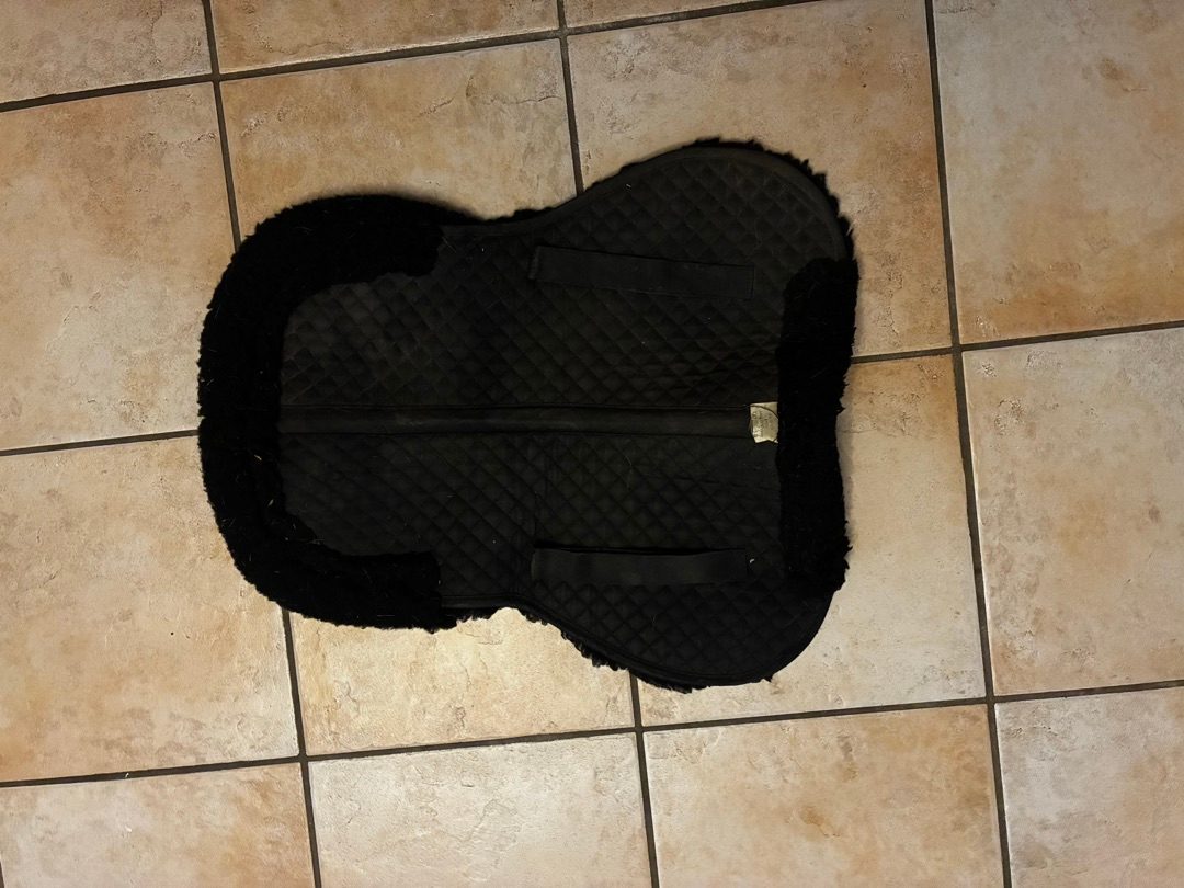 Amortisseur mouton, média 2