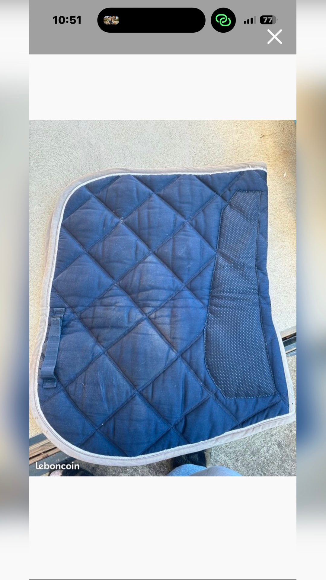 Tapis bleu brodé  Chloé, média 2