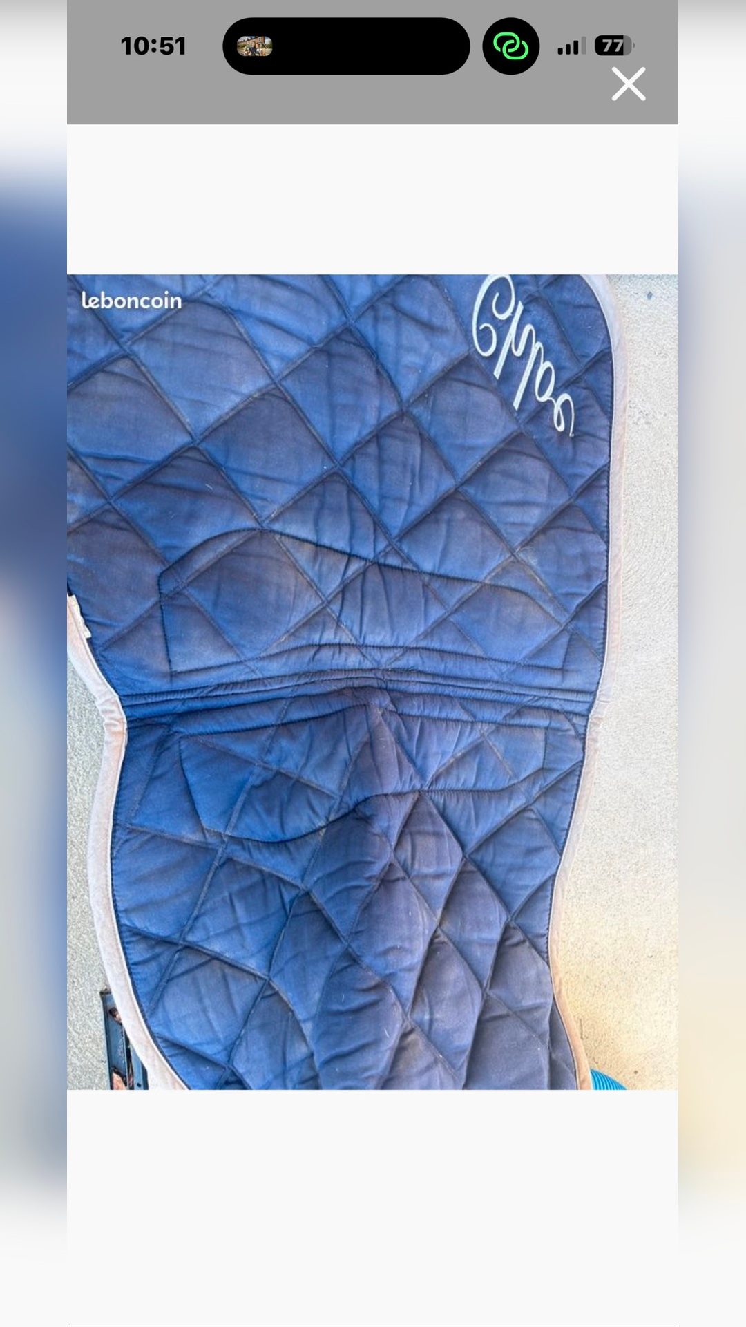 Tapis bleu brodé  Chloé, média 3