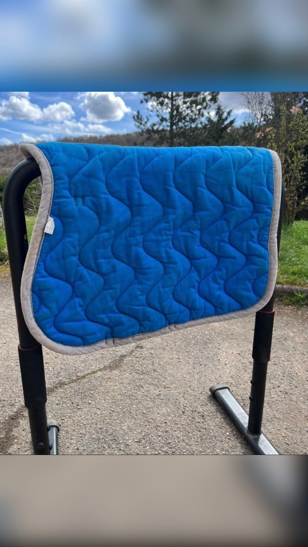 Tapis poney, média 3