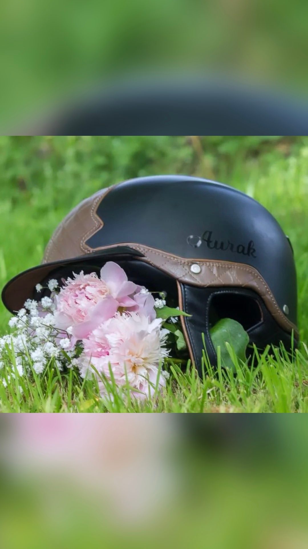 Bombe Aurak Equestrian, média 2