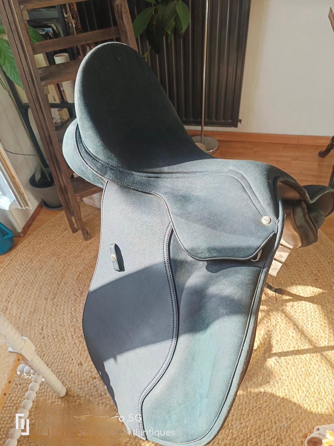 Selle wintec mixte, média 2