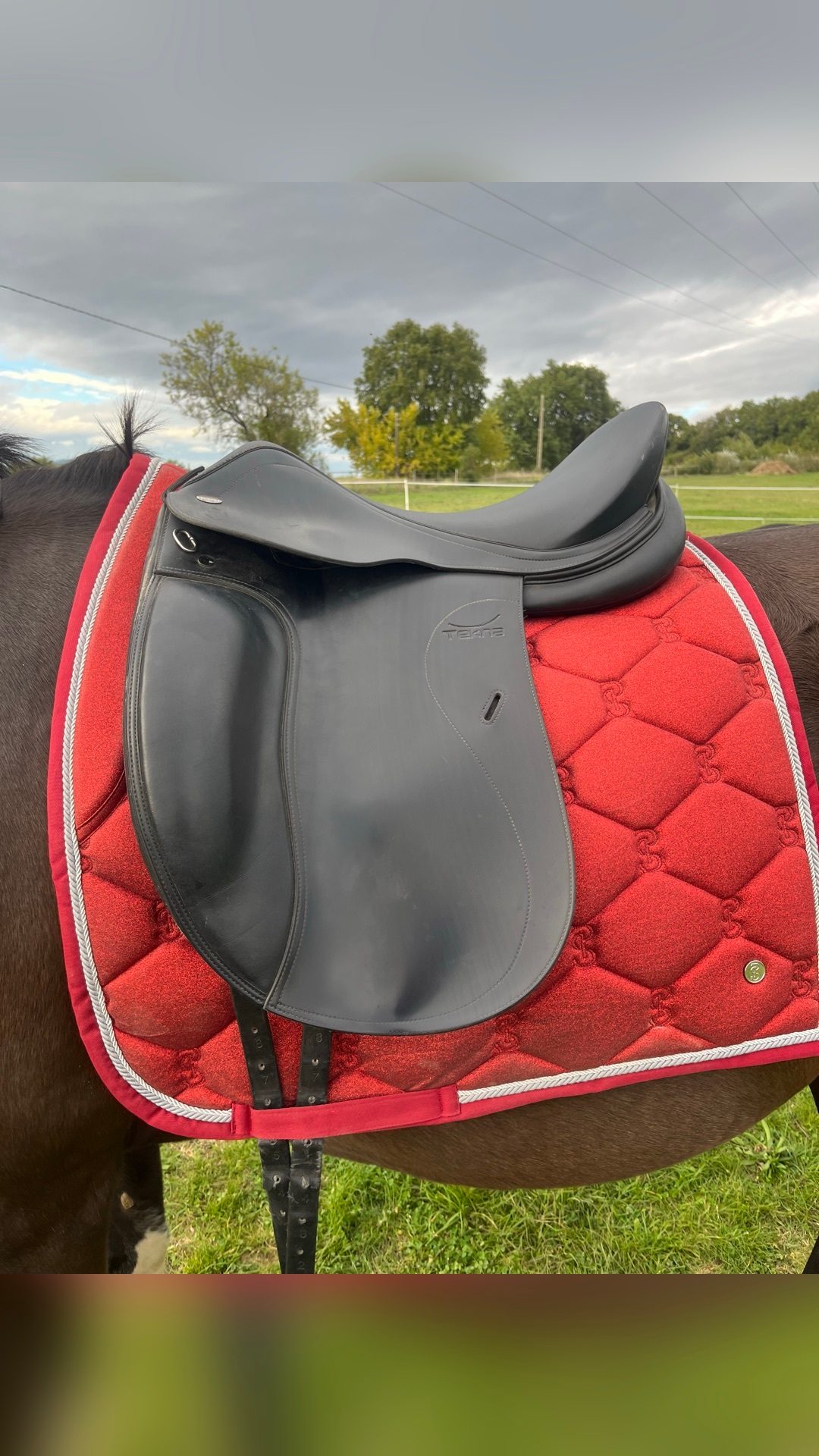 Selle dressage noire Tekna 18pc, média 2
