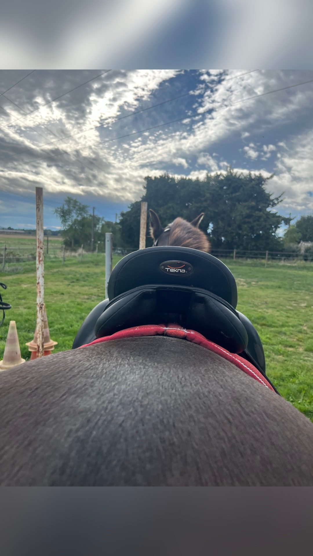 Selle dressage noire Tekna 18pc, média 4