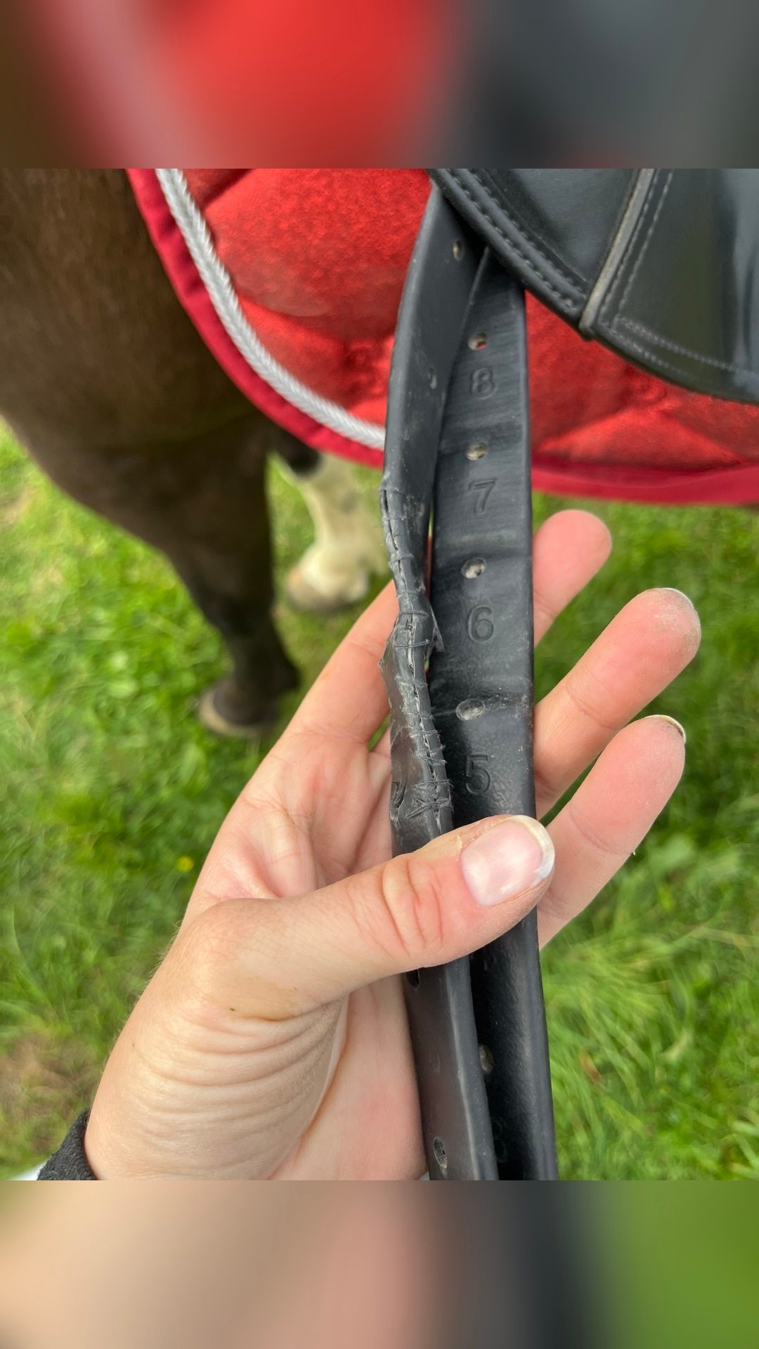 Selle dressage noire Tekna 18pc, média 6