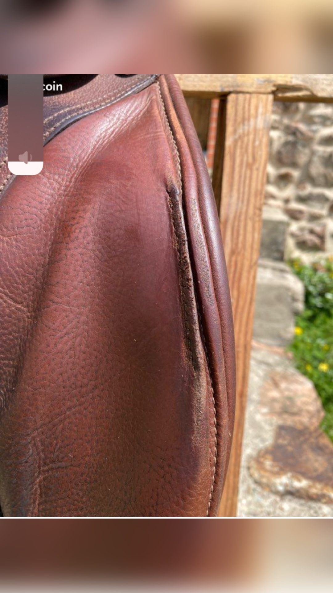 Selle Suprême 17 pouces, média 3