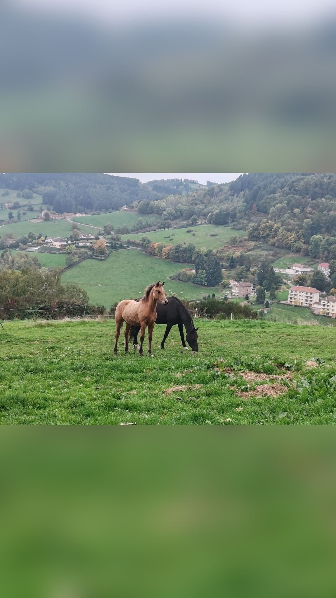 POPCORN GRANDE TERRE, média 5