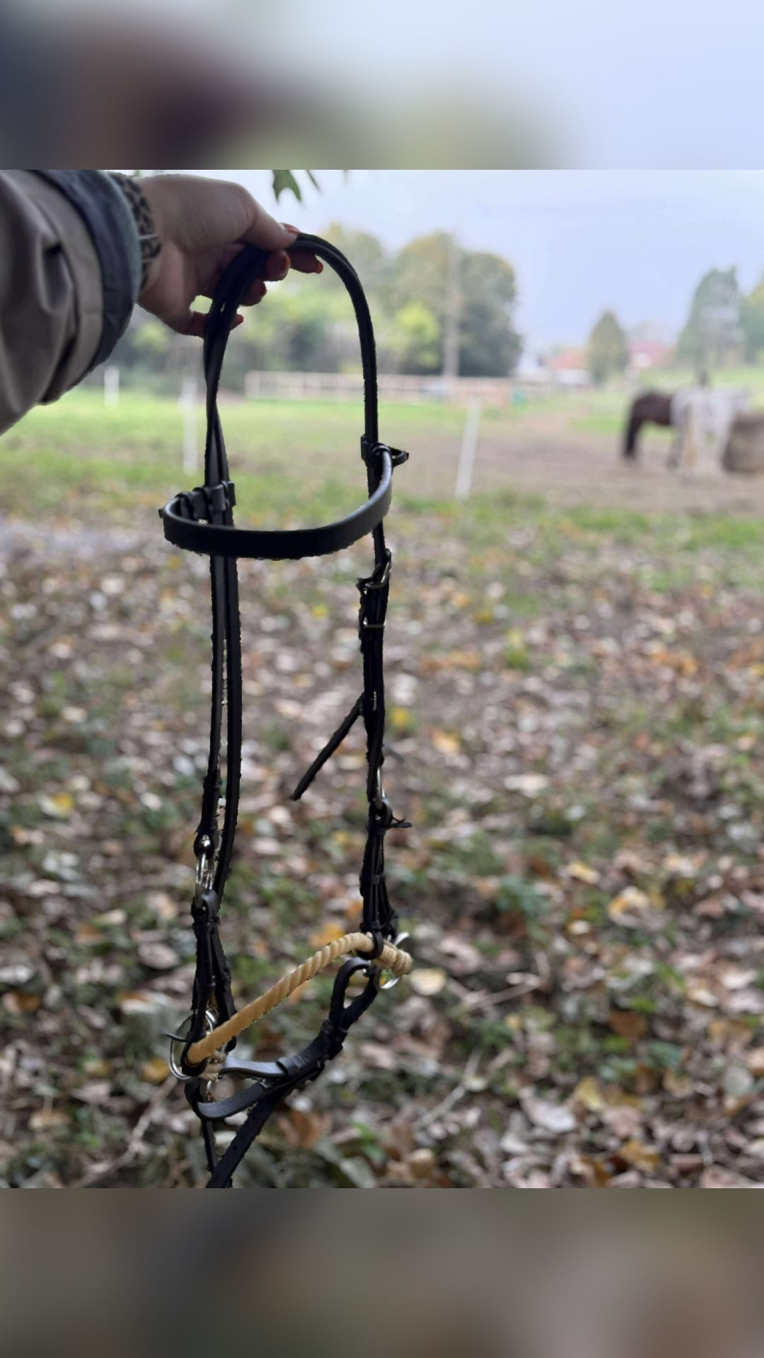 Sidepull, média 6