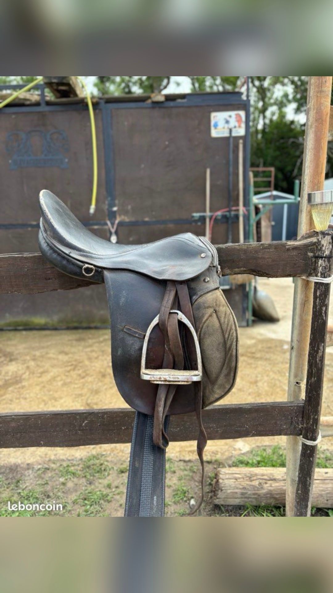 Selle classique, média 3
