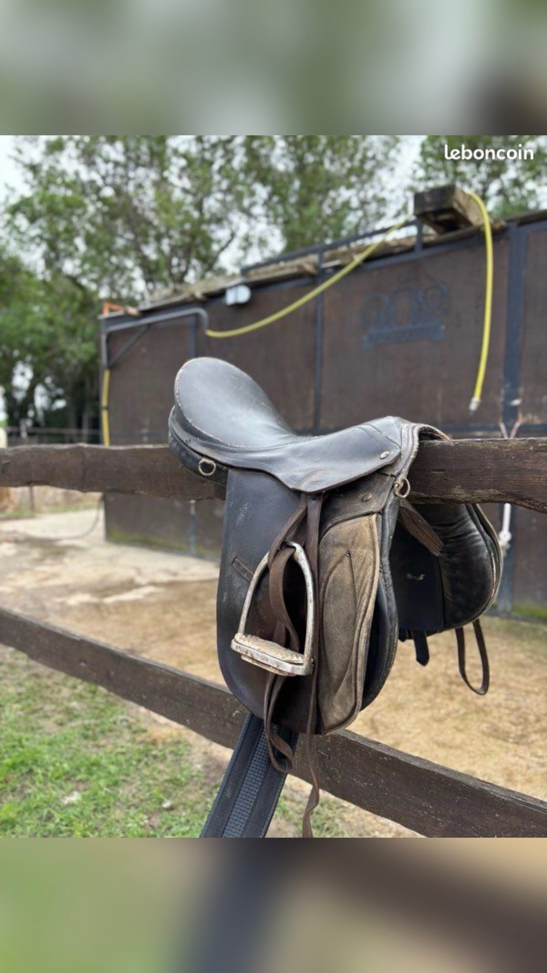 Selle classique, média 4