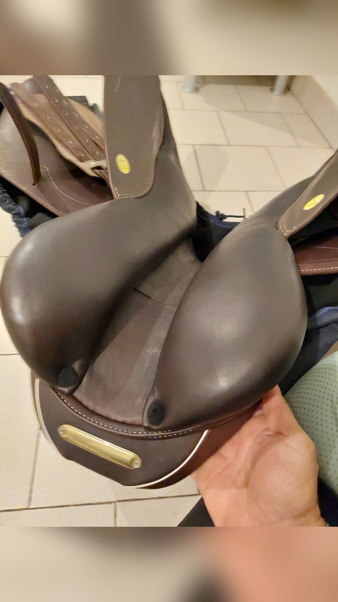 Selle mixte, média 5