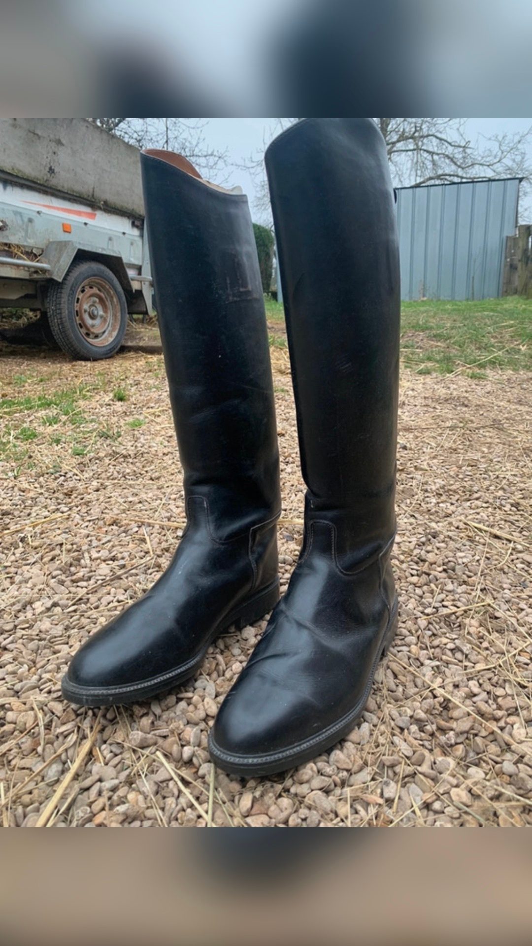 Bottes d’équitation, média 2