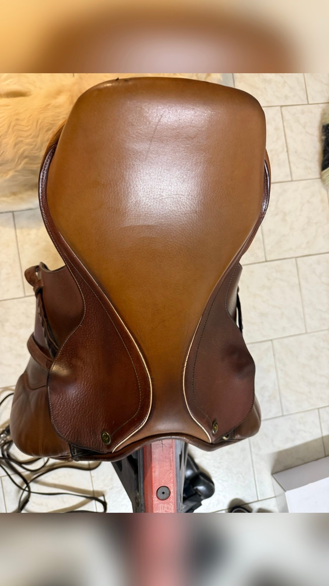 Selle Ronzon, média 4