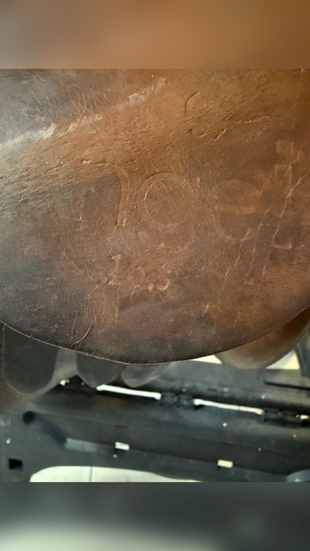 Selle Ronzon, média 6