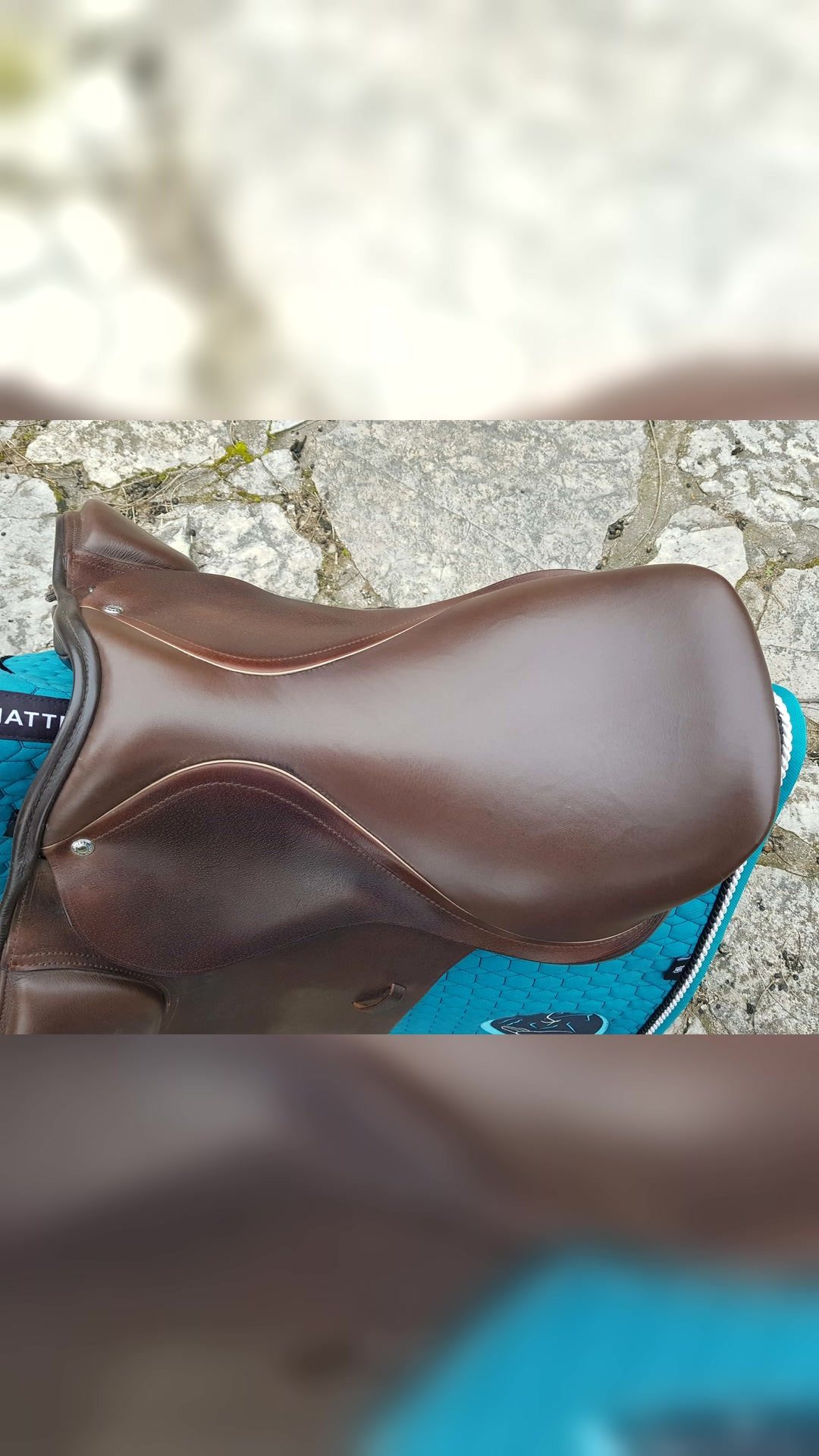 Selle mixte 17’´ Loxley, média 3