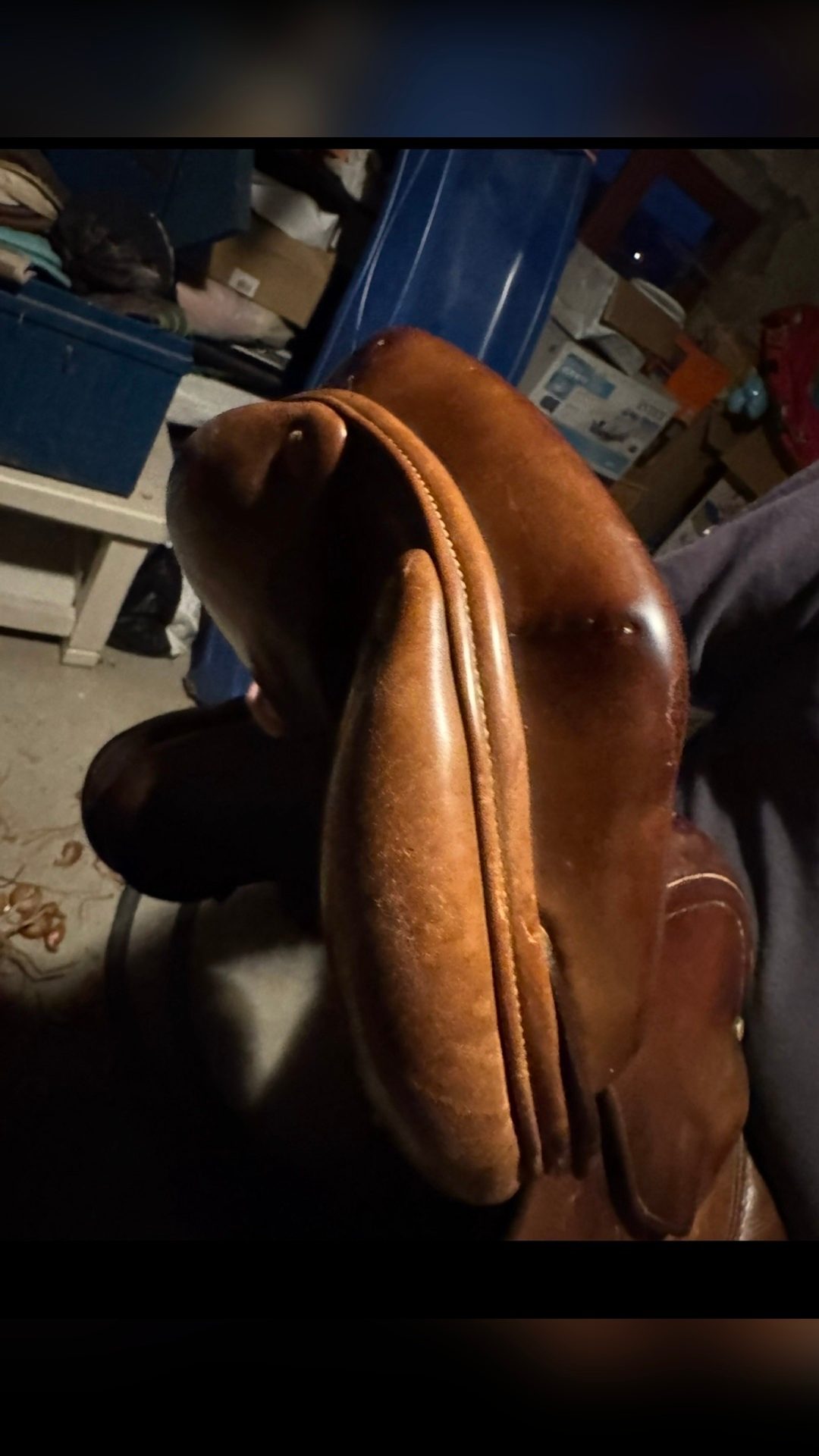 Selle Delgrange, média 4