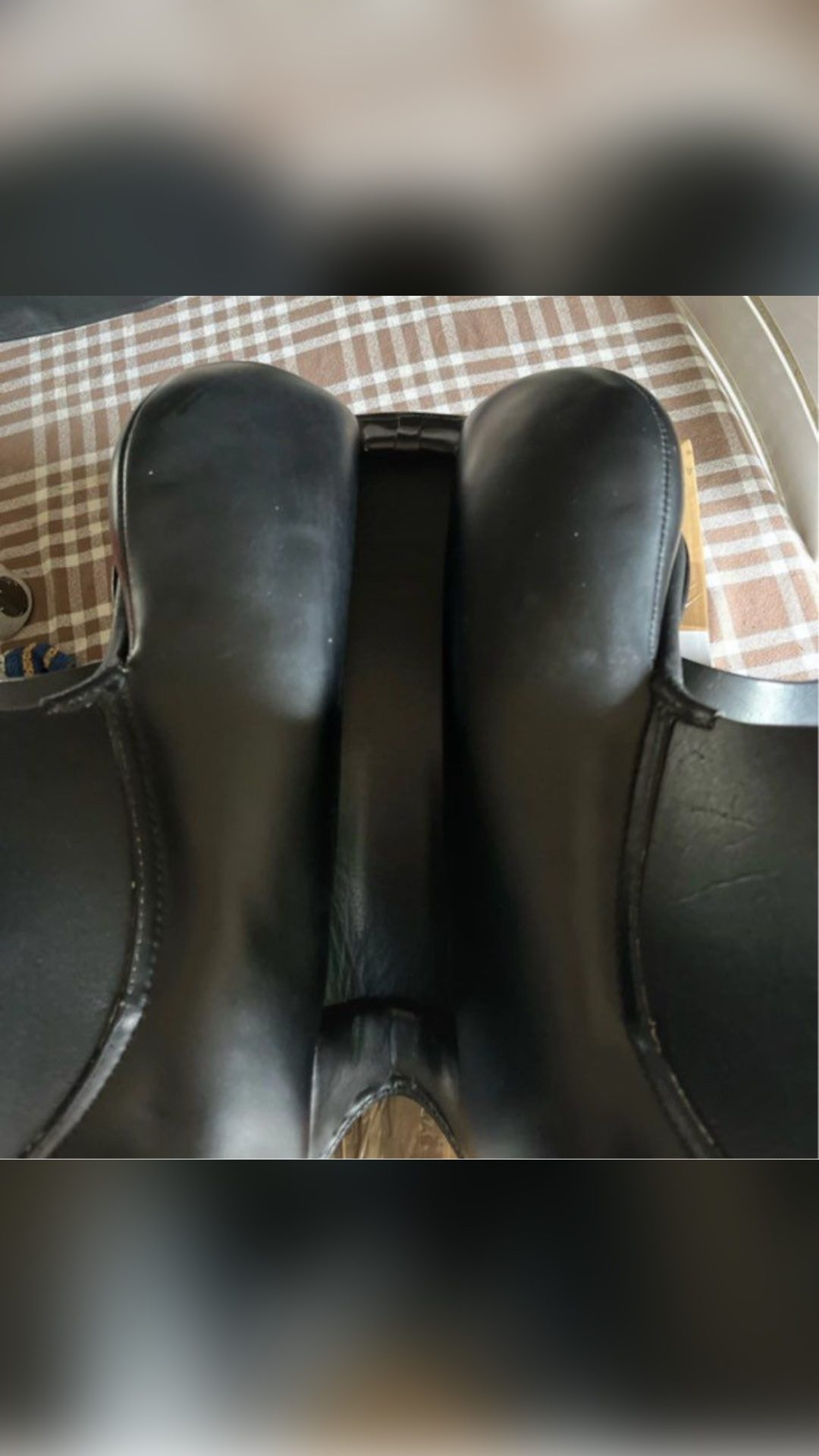 Selle Euroriding, média 8