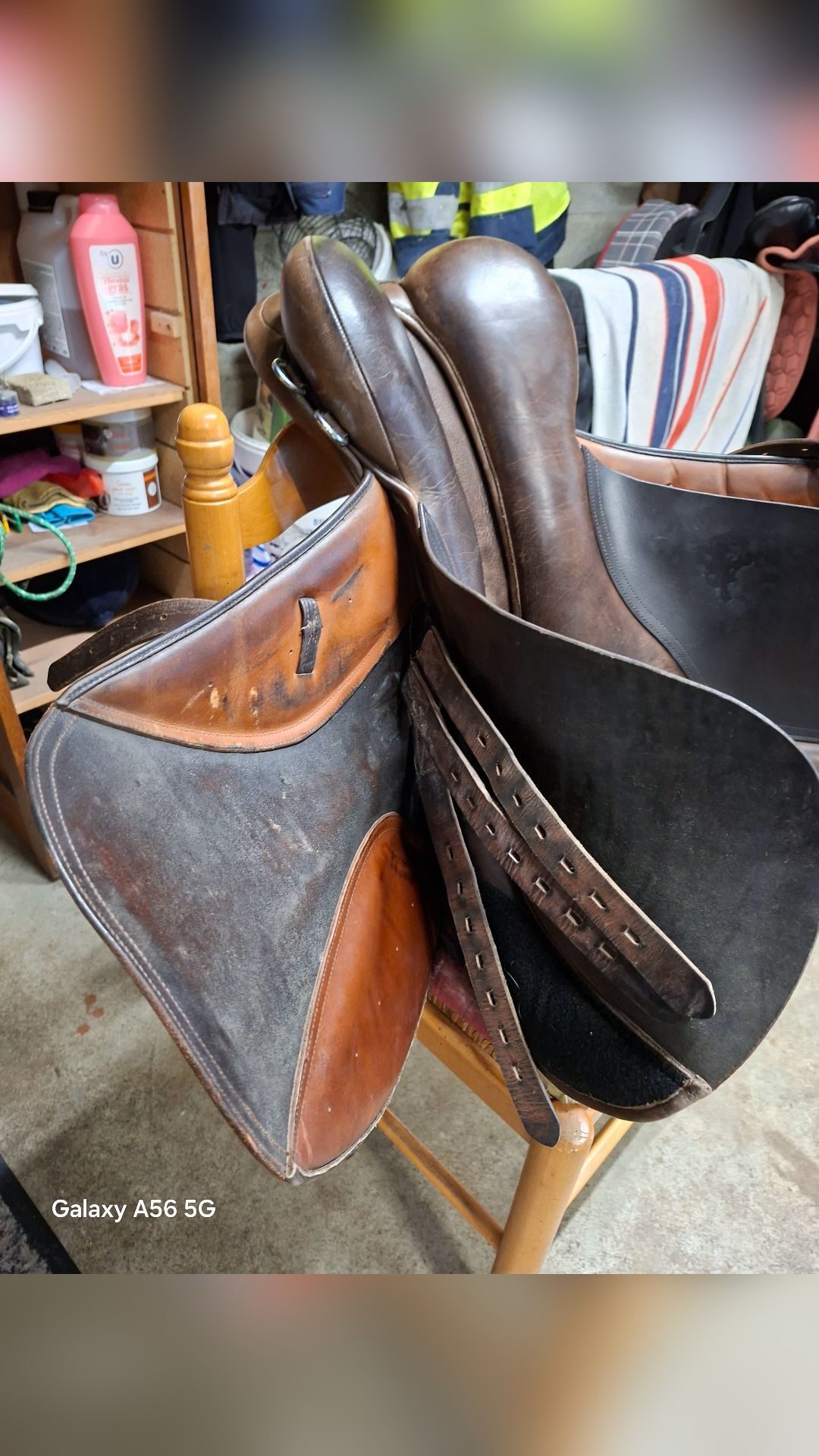 Selle Norton 17.5, média 8