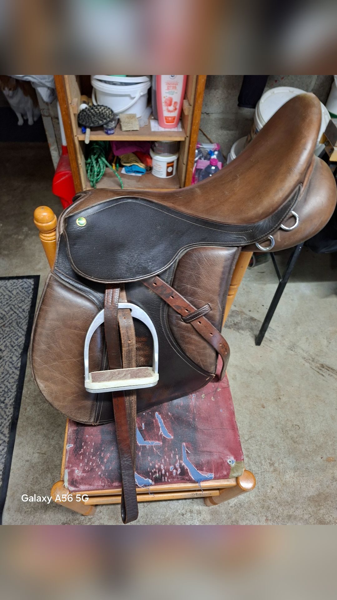 Selle Norton 17.5, média 2