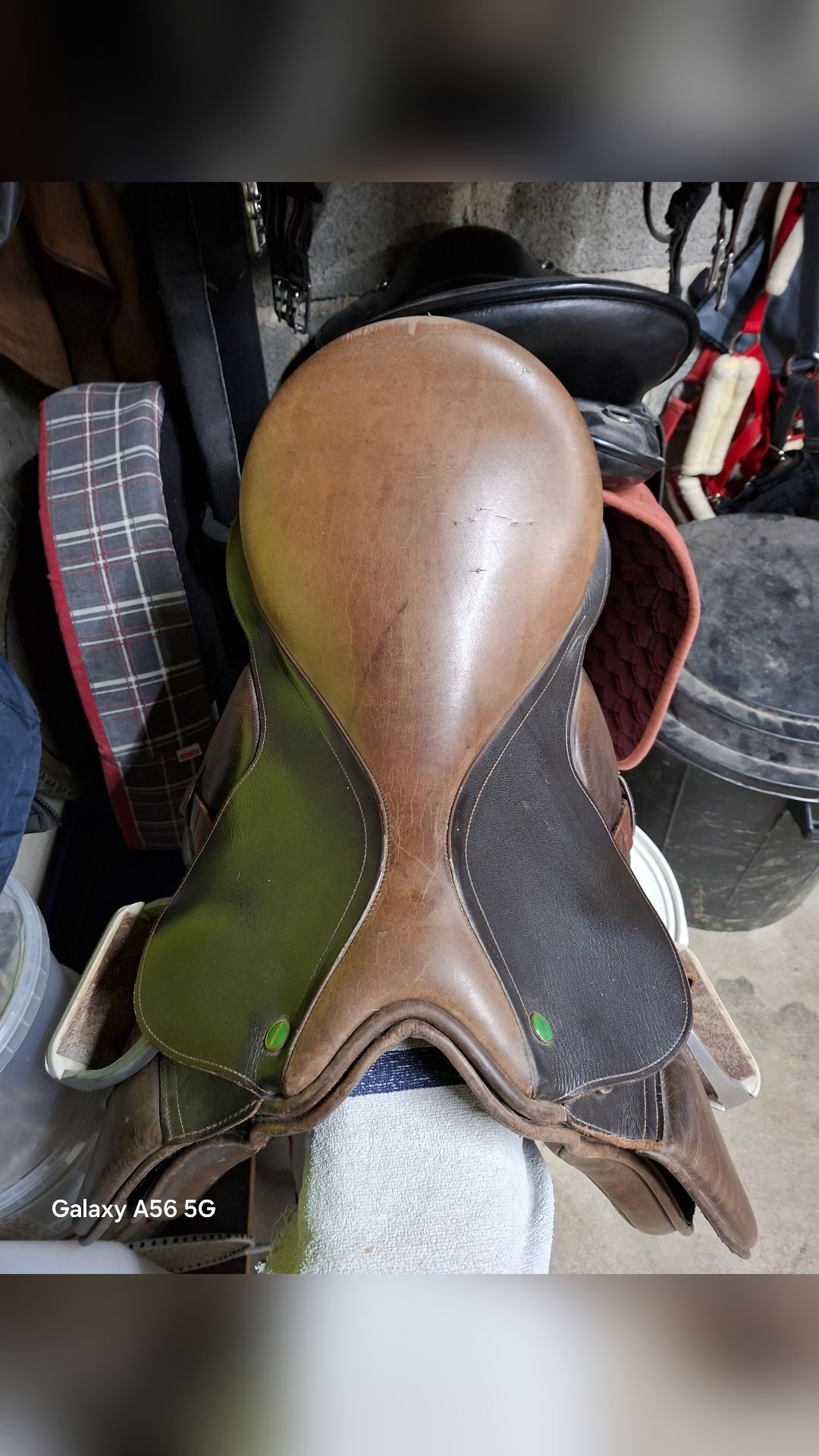 Selle Norton 17.5, média 3