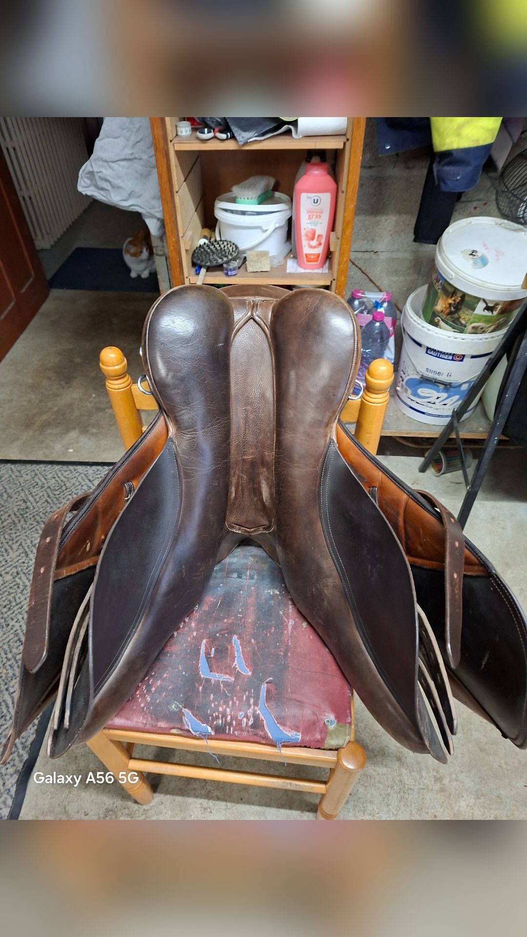 Selle Norton 17.5, média 7