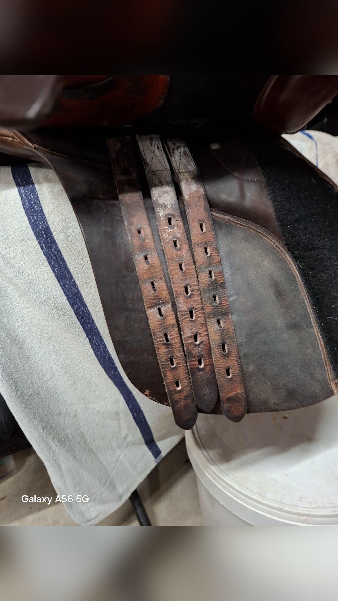 Selle Norton 17.5, média 6