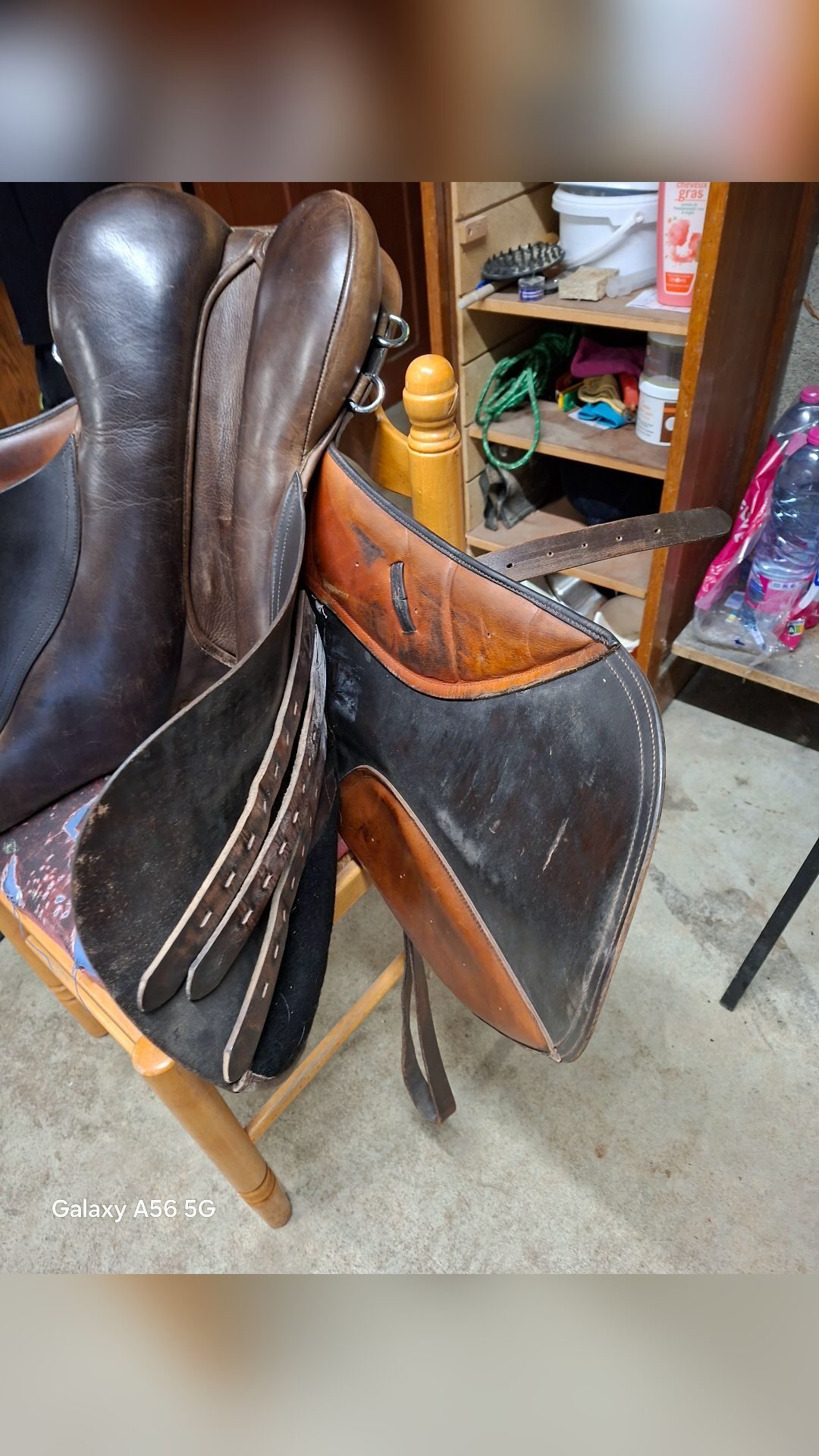 Selle Norton 17.5, média 9