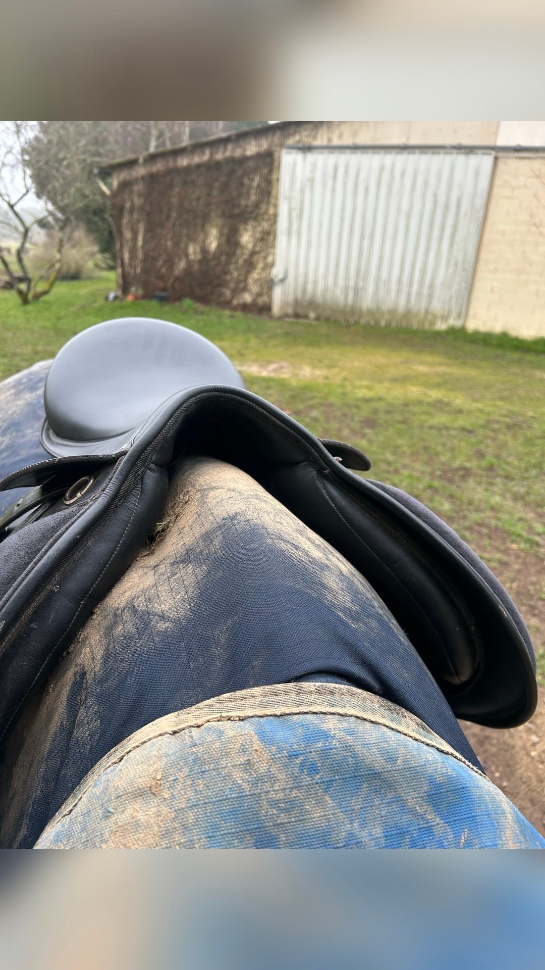 Selle, média 6