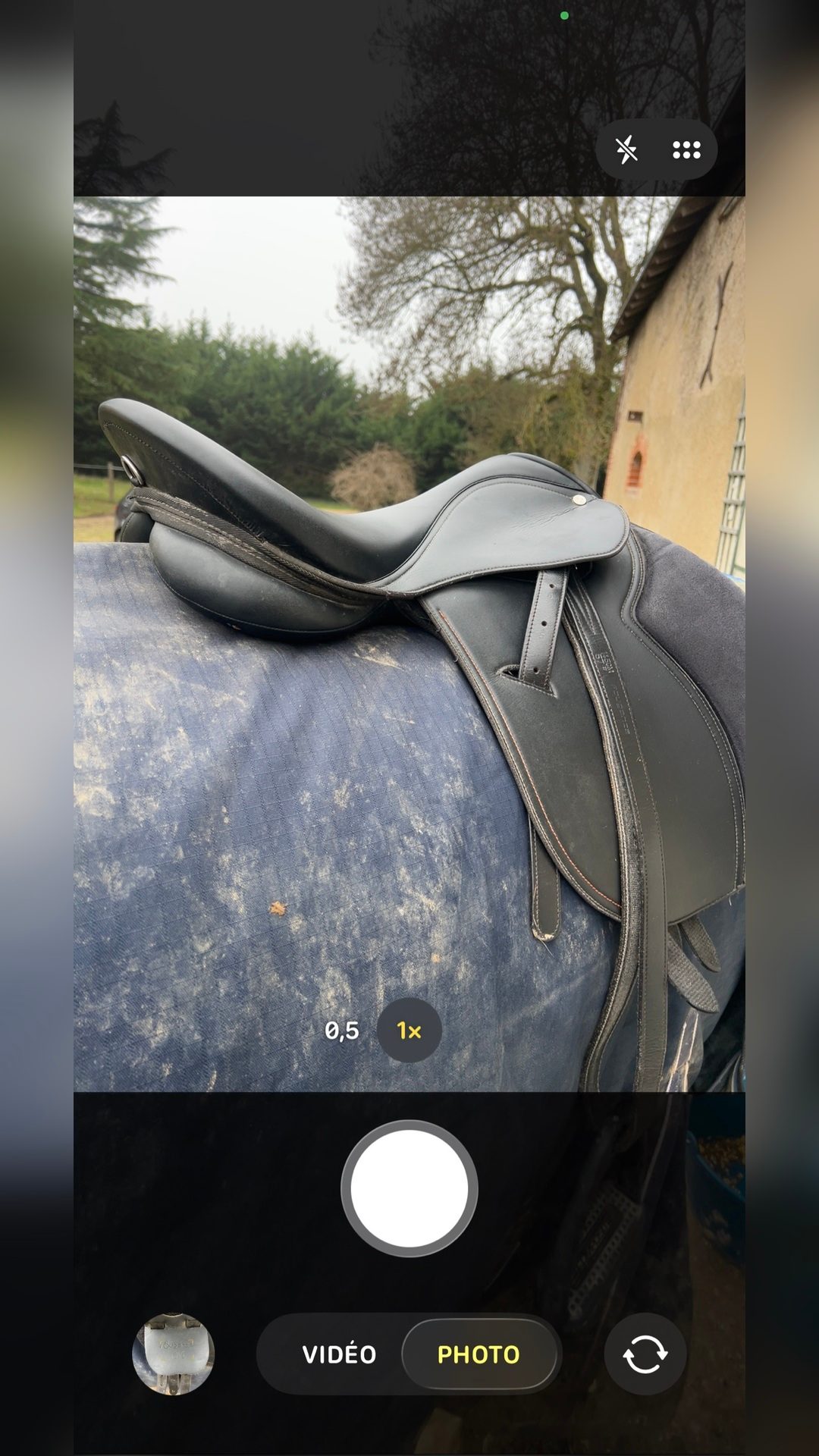 Selle, média 7