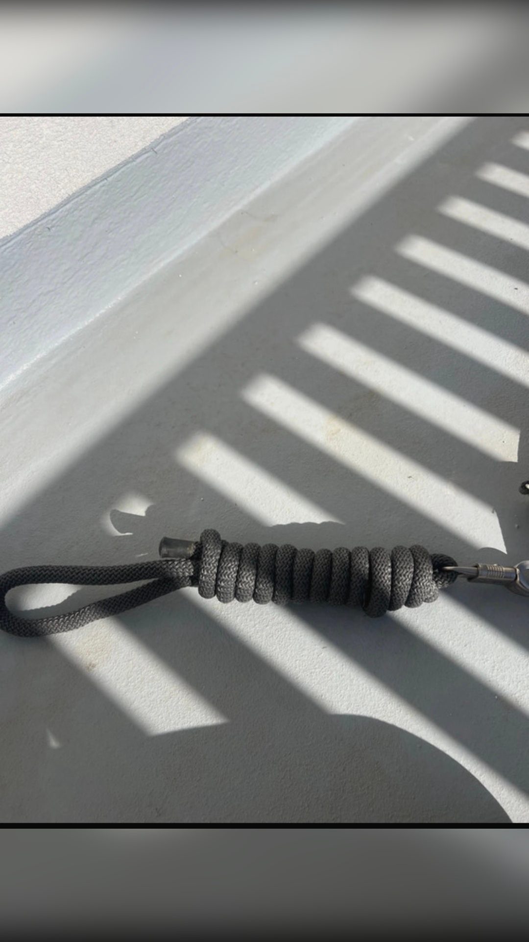 Licol gris avec longe, média 5