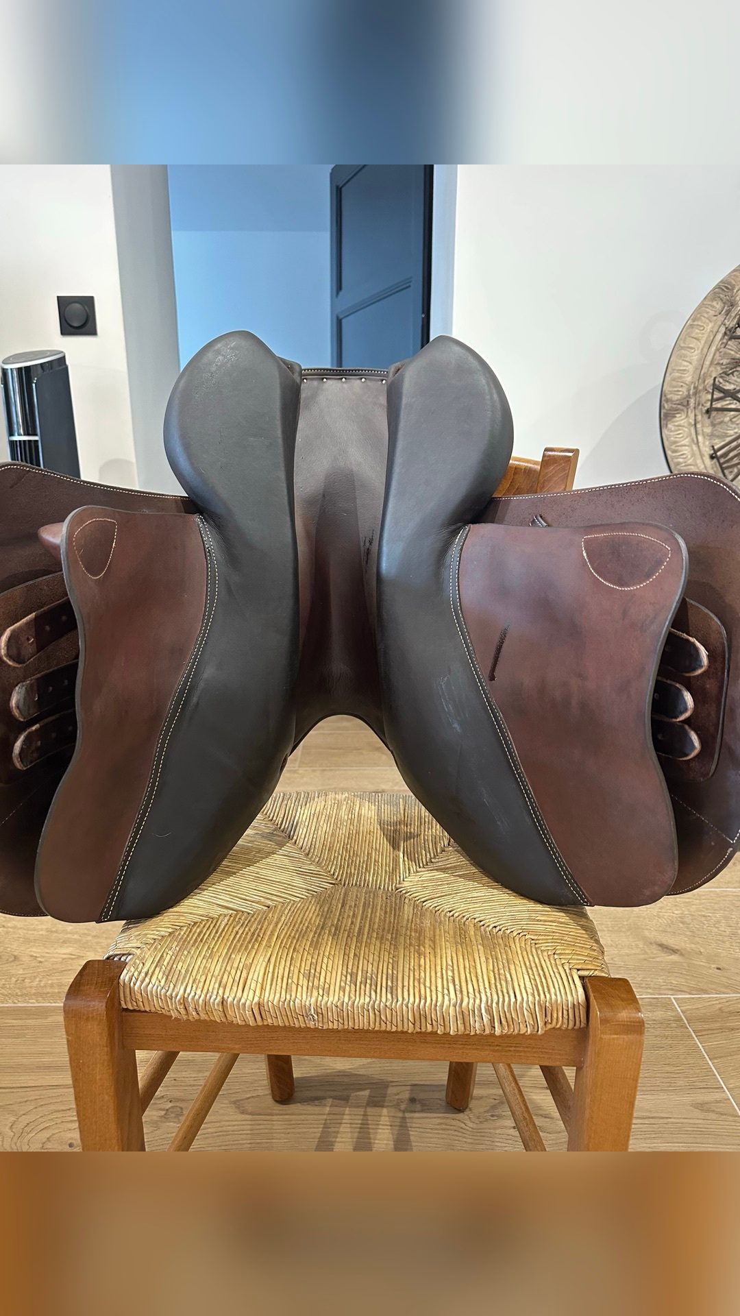 Selle Forestier, média 3