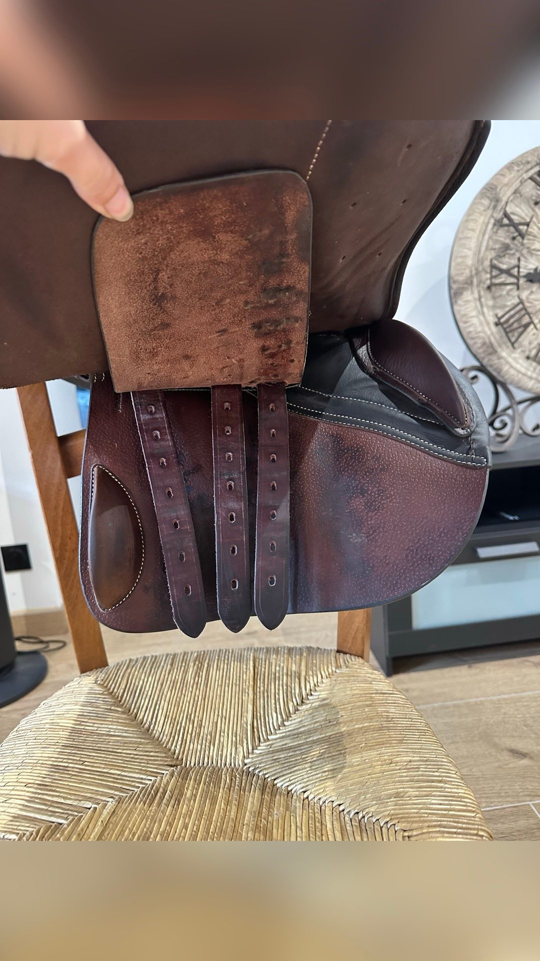 Selle Forestier, média 4