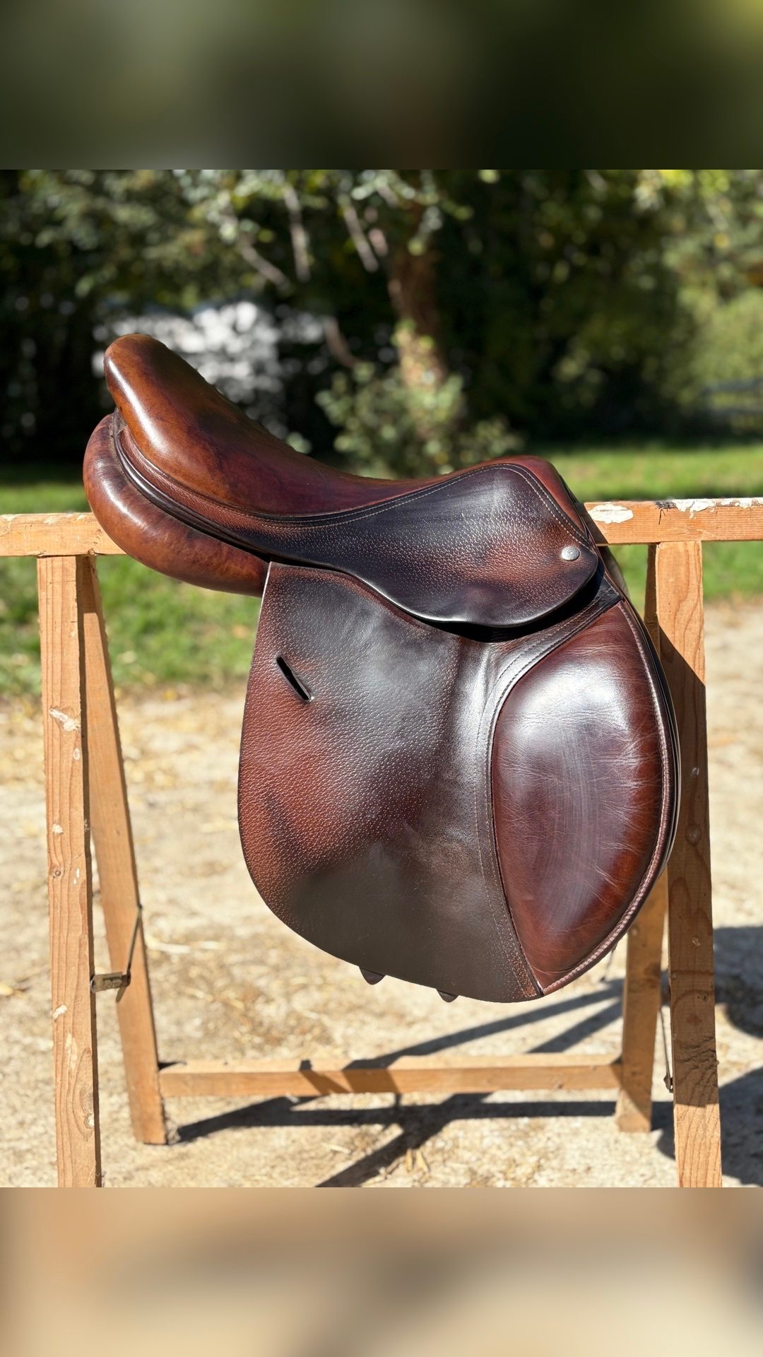 Selle mixte Forestier 17’, média 2