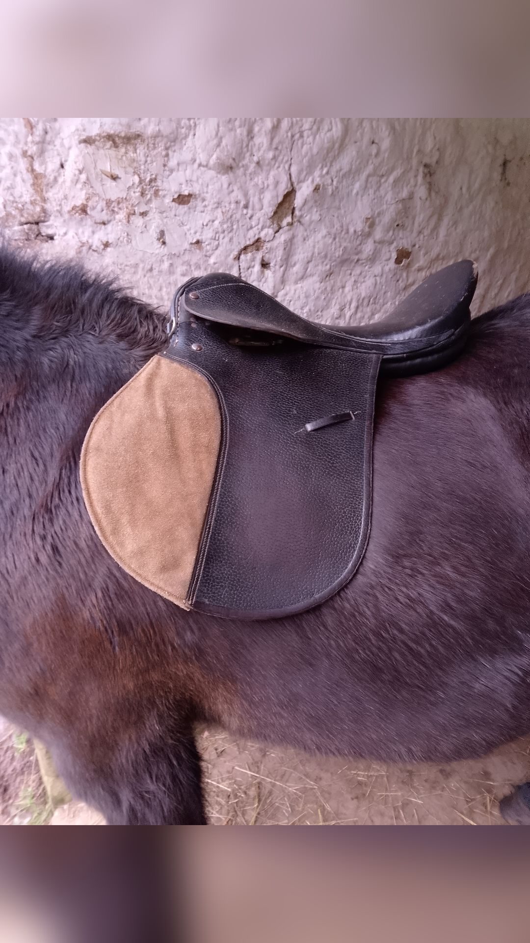 Selle mixte, média 3