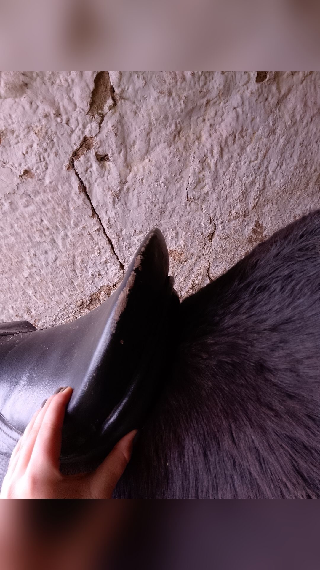 Selle mixte, média 2