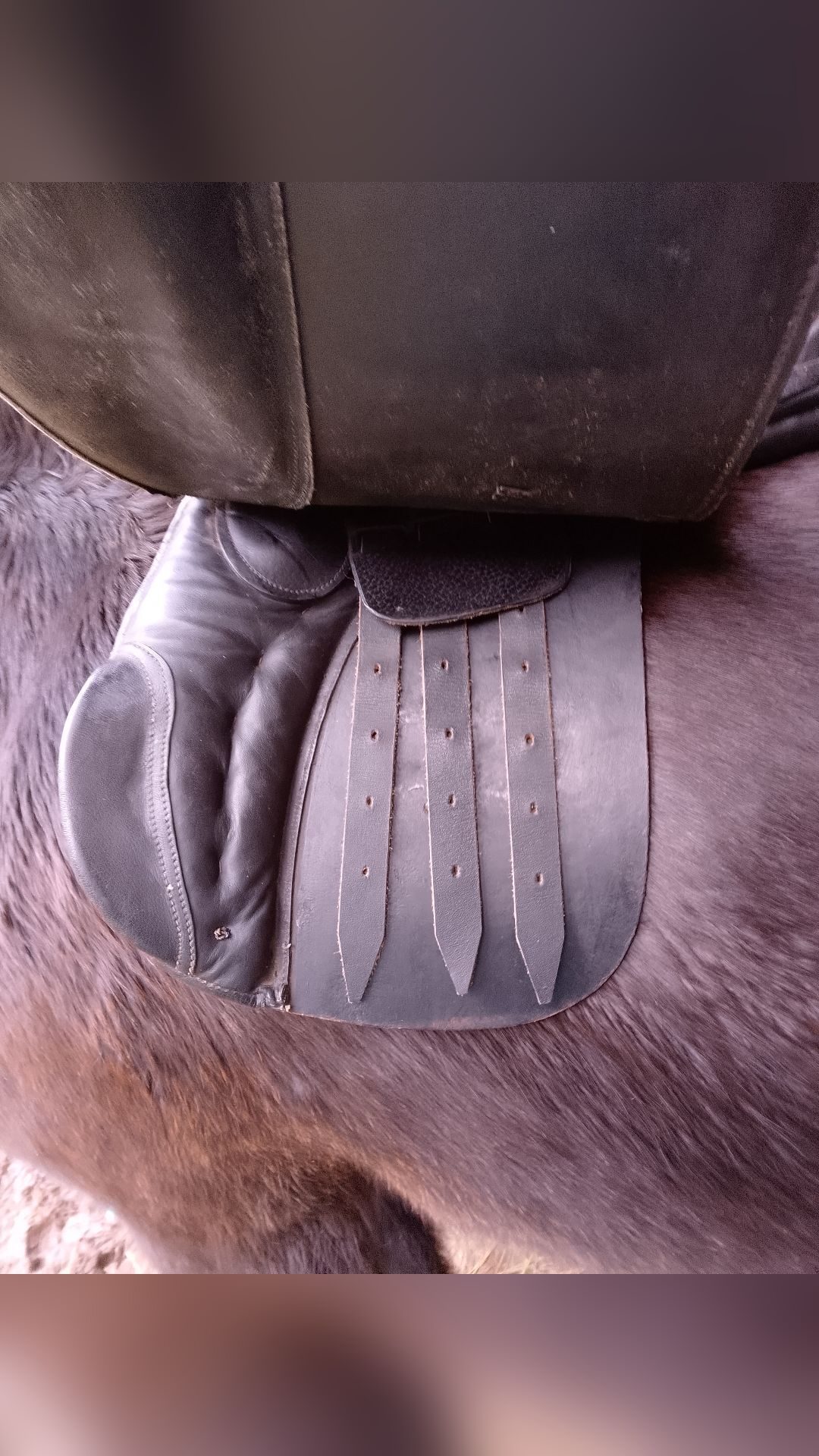 Selle mixte, média 4