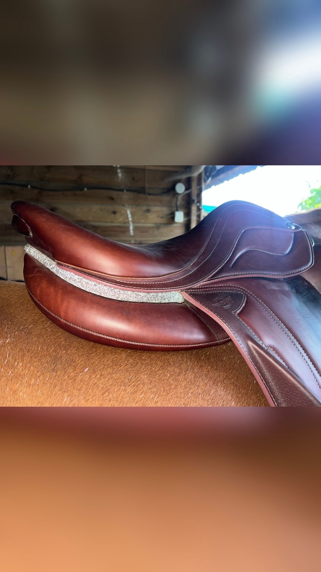 Selle Devoucoux Chiberta Lab 17’, média 3