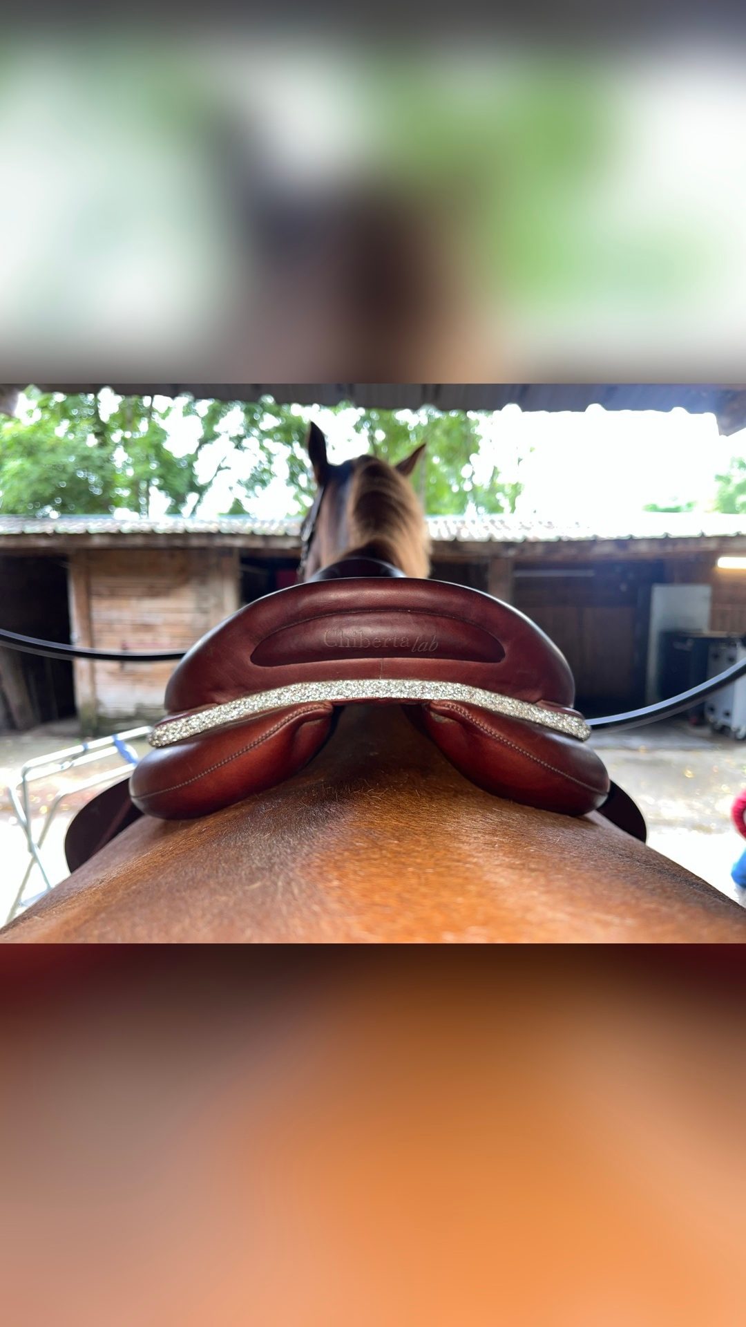 Selle Devoucoux Chiberta Lab 17’, média 4
